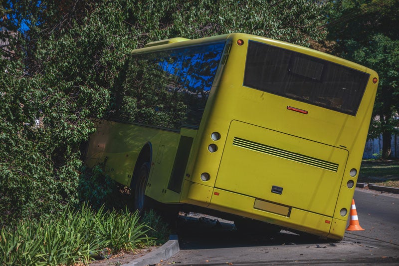A yellow bus has crashed into a dense green bush, with its rear end sticking out onto the road.