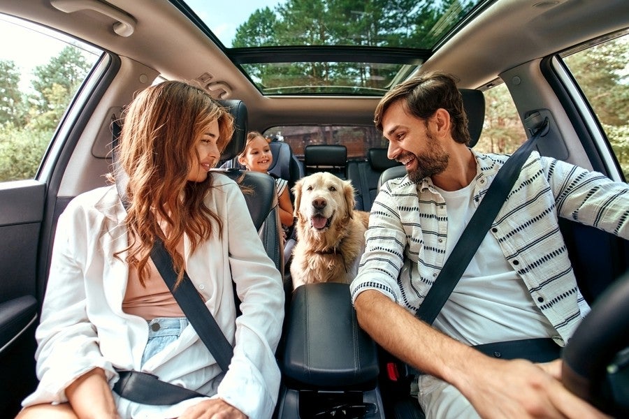 Family with a dog in a car on a road trip, with a young girl in the back seat and a sunroof.
